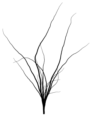 tenree render, simple black branching tree on white background